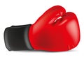 Symbol of strength and victory in combat sports, a red boxing glove.